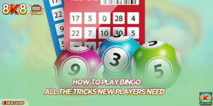 How To Play Bingo - All The Tricks New Players Need