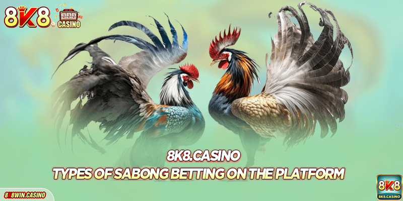 Types of Sabong betting on the platform