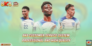 8k8 Customer Service System Professional And High Quality