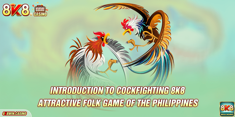 Introduction to 8K8 Cockfighting - Attractive folk game of the Philippines