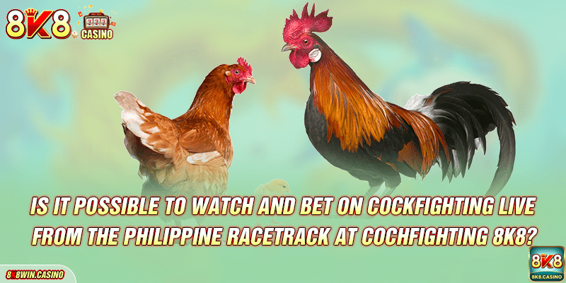 Is it possible to watch and bet on cockfighting live from the Philippine racetrack at Cochfighting 8K8?