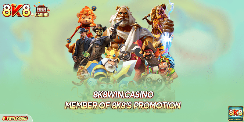 member-of-8k8’s-promotion