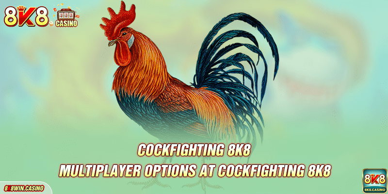 Multiplayer options at 8K8 Cockfighting