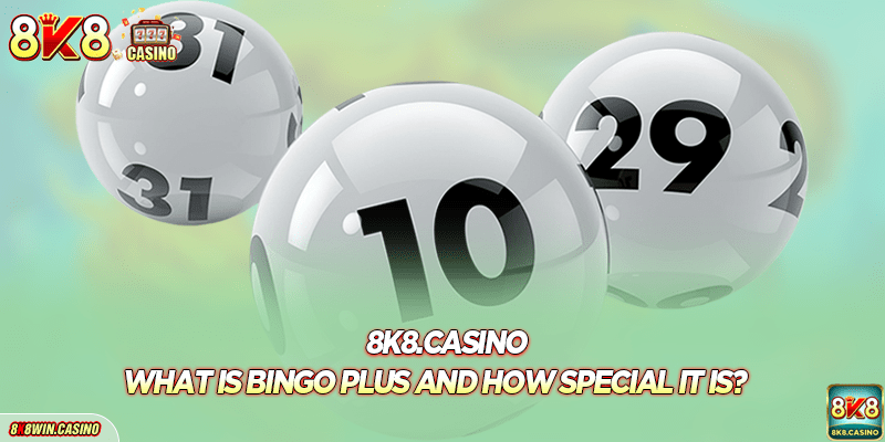 What is Bingo Plus and how special it is?